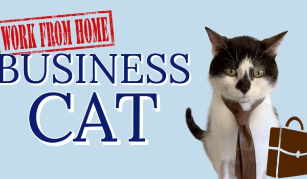 Janelle McGuinness' Business Cat YouTube title card